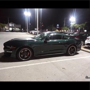 Meet your Posher, Mary